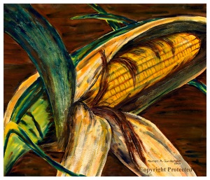 Ear of Iowa Corn, watercolor by Marion Gunderson, 1949